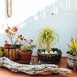Hostel Olive Lagos