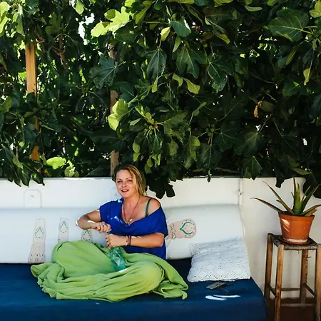 Olive Hostel