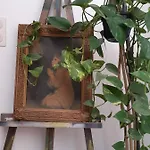 Olive *