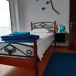 Hostel Olive