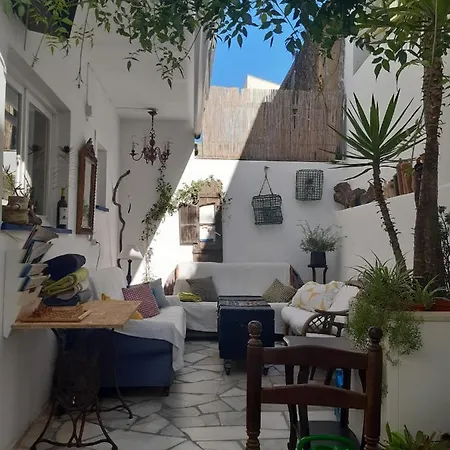 Hostel Olive *