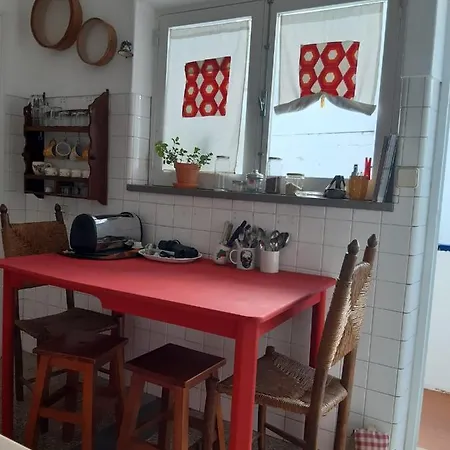 Hostel Olive *