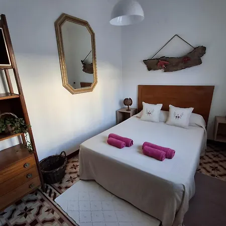 Olive Hostel *