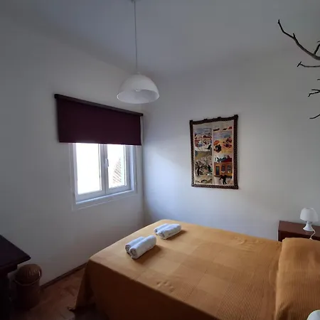 Hostel Olive *
