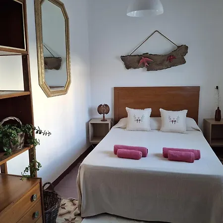 Olive Hostel