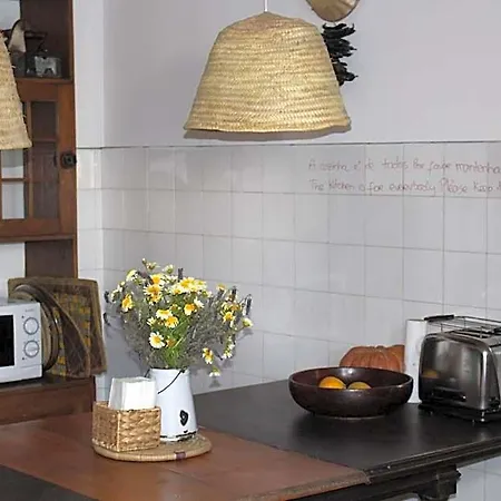 Olive Auberge de jeunesse *