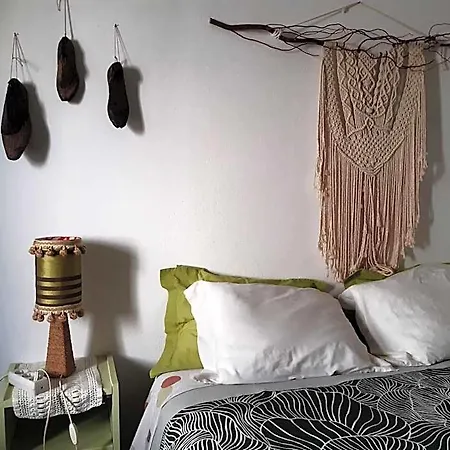 Olive Auberge de jeunesse *