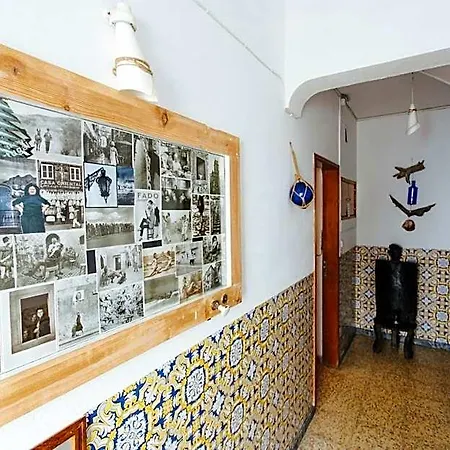 Olive Hostel