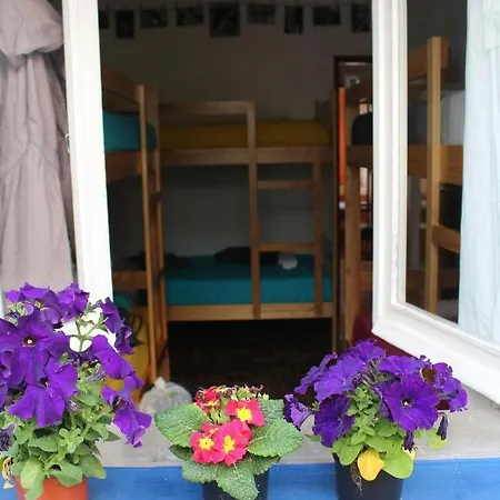 Hostel Olive *