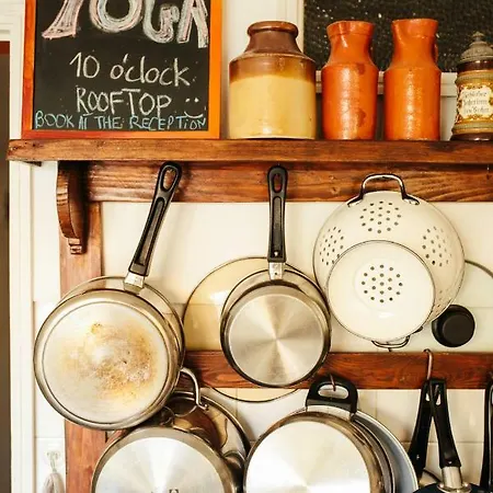 Olive Hostal