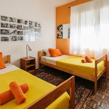 Olive Hostel