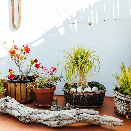 Hostal Olive Lagos