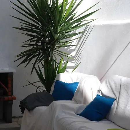 Olive Hostel *