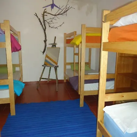 Hostel Olive *